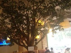 大堂-多乐之日(五道口店)