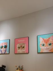 -洗脸猫·洗脸吧