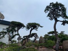 -罗红摄影艺术馆