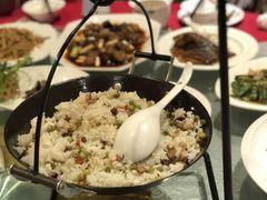 -洪湖家庭农场·团建·露营·会议