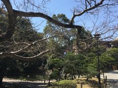 -水前寺成趣园