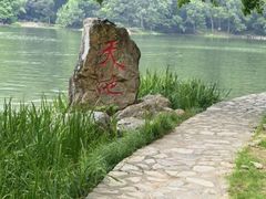 -紫霞湖公园