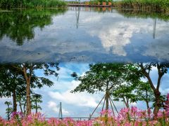 -芒洲湿地公园