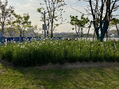 -上海山野camping·户外天幕烧烤·团建拓展营地