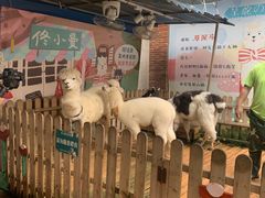 -佟小曼手工茶饼坊(鼓浪屿1店)
