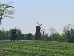 -同里国家湿地公园