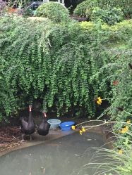 -虹桥迎宾馆·宴会厅