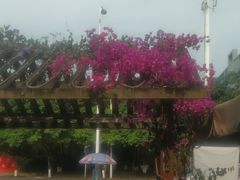 -老鼎万春卤菜(五代传承创始老店)