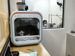 -悠尼宠物·独立低压伊珊娜洗护·美容·寄养(兰谷路店)