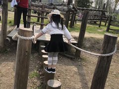 -田园东方蜜桃村的田野营地