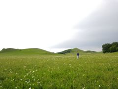 -乌兰布统草原