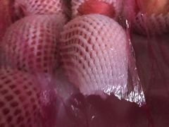 -麦德龙(郑东店)