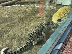 -青藏高原野生动物园