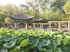 -莲湖公园
