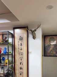 -冰岛刺青·手工耳饰品售卖·专业纹身