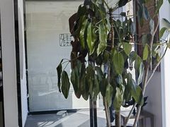 -和雅集素食(景区店)