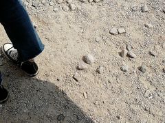 -潍坊滨海云门国际风筝放飞场