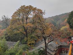 -潭柘寺景区