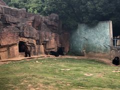 -无锡动物园·太湖欢乐园
