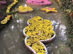 -汇龙潭
