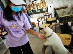 -平行世界·猫咖(首经贸店)