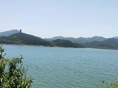 -望湖烤鱼