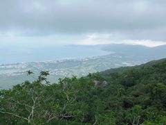 -三亚亚龙湾人间天堂鸟巢度假村