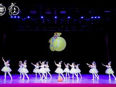 -舞蕾舞蹈(特长生校区)