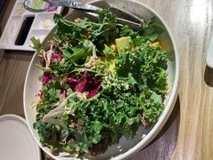 芥子酱羽翼甘蓝沙拉-小大董·烤鸭(凤凰汇店)