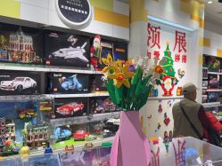 -乐高授权专卖店(中关村领展店)