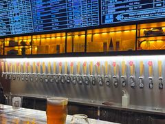 -麦落精酿啤酒餐吧(先农大院店)