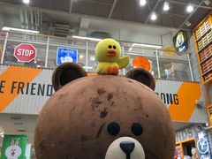 -line friends(明洞旗舰店)