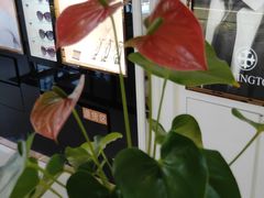 -宝岛眼镜(福州宝龙二店)