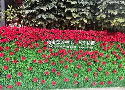 -宝生月子中心(民治店)