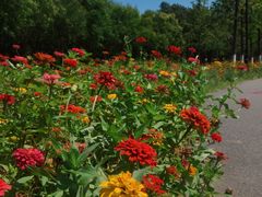 -永定河休闲森林公园