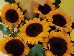 -龙华素斋(龙华路店)