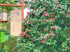 -中国茶叶博物馆(双峰馆区)