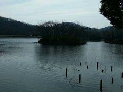 -同銮特种养殖场·龙虾垂钓