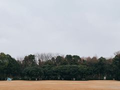 -青枫公园