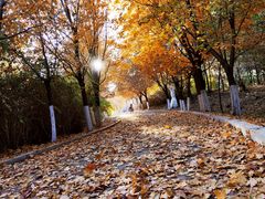 -长春世界雕塑园冰雪艺术天地