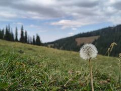 -塞罕坝国家级自然保护区