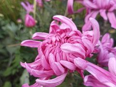 -共青国家森林公园-售票处