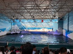 -秦皇岛乐岛海洋王国