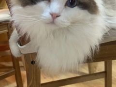 -白兔子密室(长寿路店)