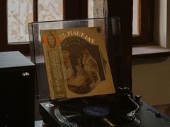 -树懒黑胶唱片店(中山路店)