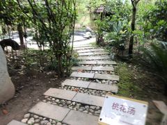 -中铁花水湾四季温泉谷