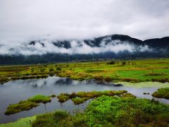 -腾冲北海湿地