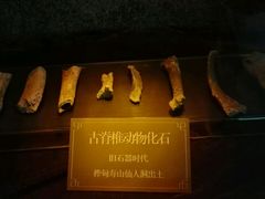 -吉林市博物馆