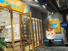 -猫的天空之城概念书店(丽江古城饮玉巷店)