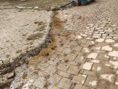 -金石滩蓝莓谷庄园